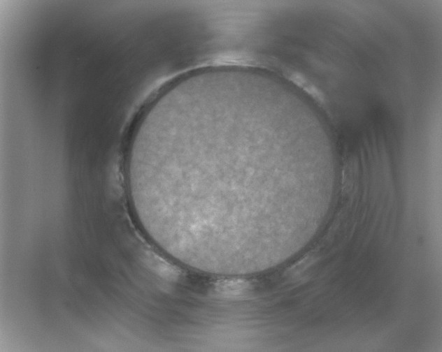 X0000068721454200605121440