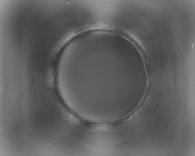 X0000068721455200605121440