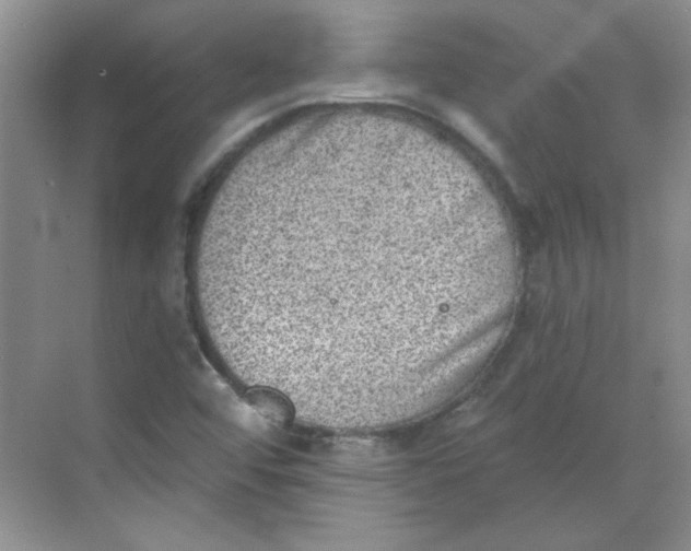 X0000068721456200605121440