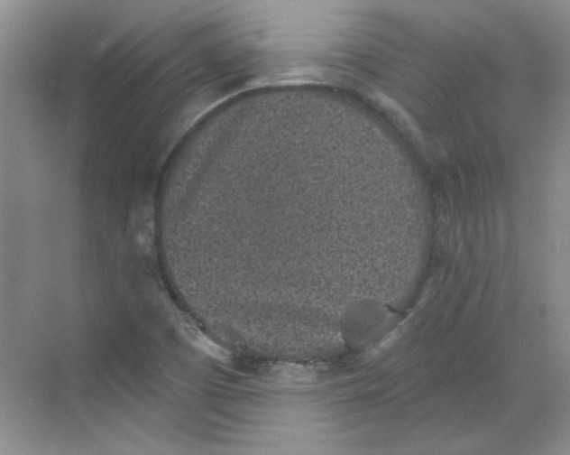 X0000068721457200605121440