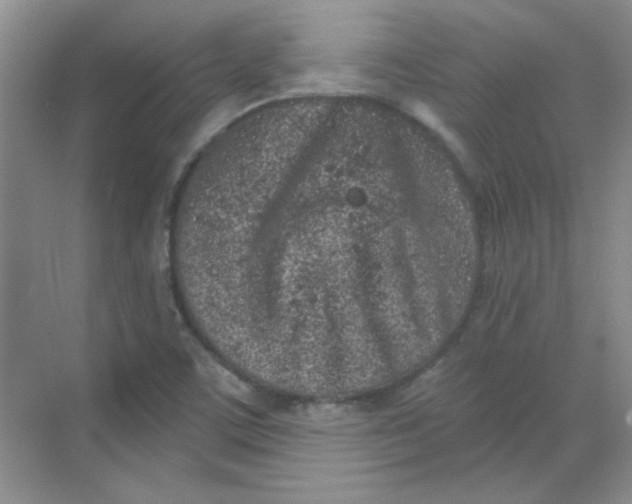 X0000068721459200605121439