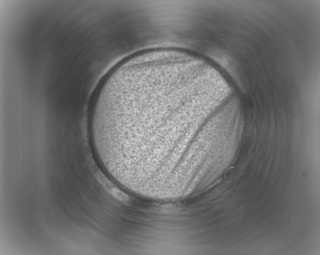 X0000068721460200605121439