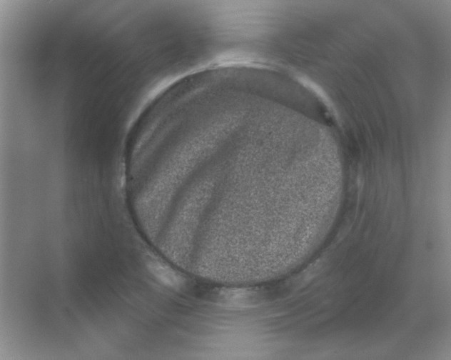 X0000068721461200605121439