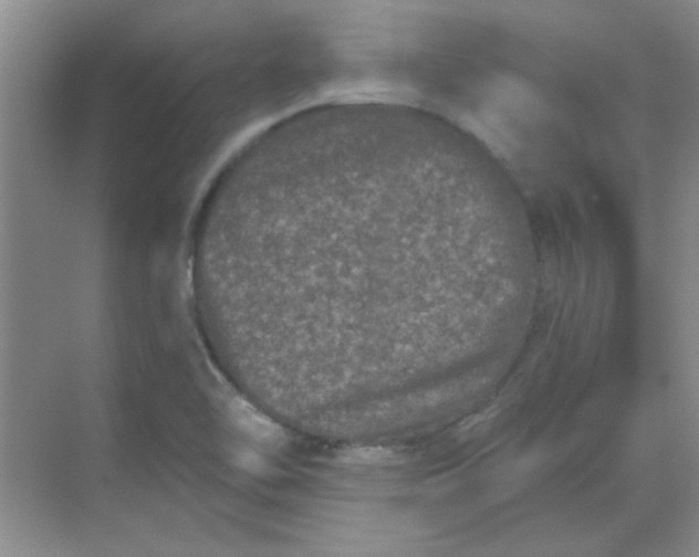 X0000068721462200605121439