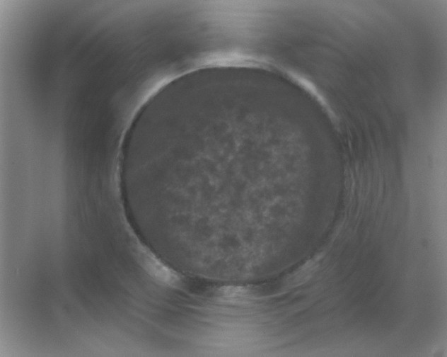 X0000068721463200605121439