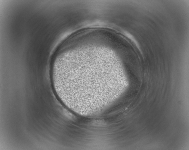 X0000068721464200605121439