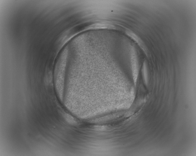 X0000068721465200605121439