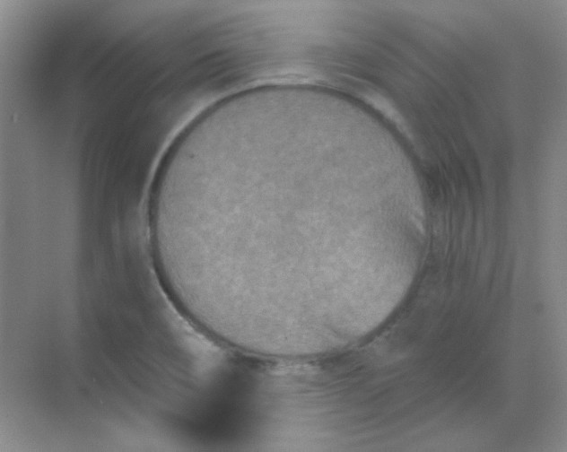 X0000068721466200605121439