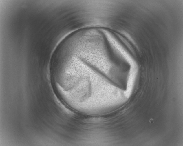 X0000068721468200605121439