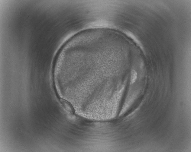 X0000068721469200605121439