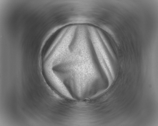 X0000068721472200605121439