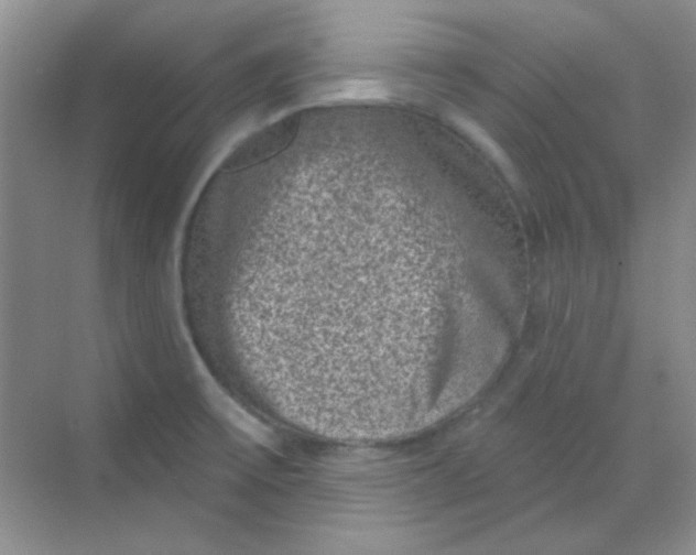 X0000068721475200605121439