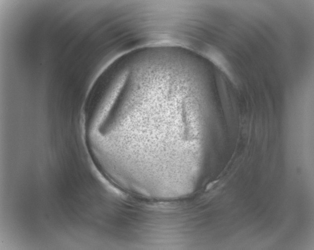 X0000068721476200605121439