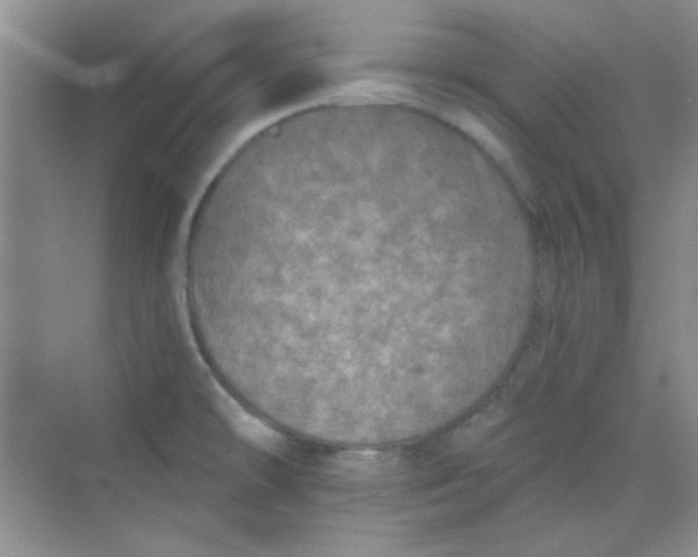 X0000068721478200605121439