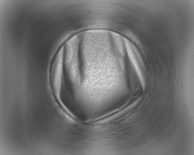 X0000068721480200605121439