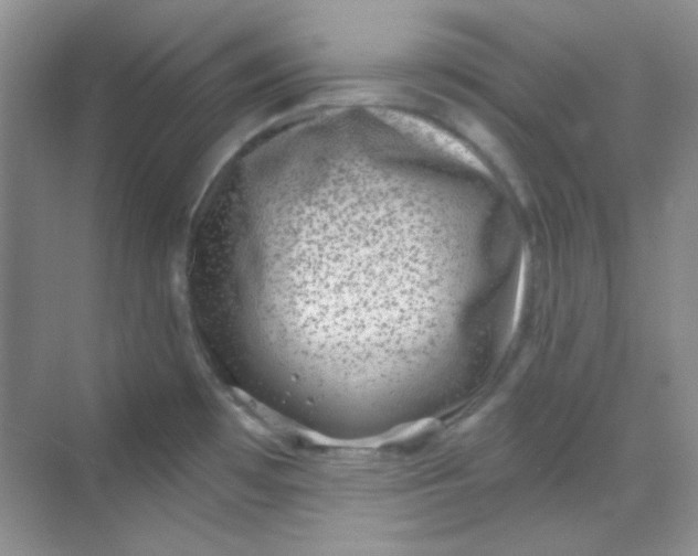 X0000068721481200605121439