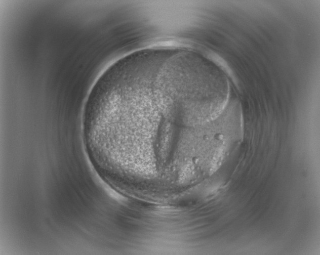 X0000068721483200605121439