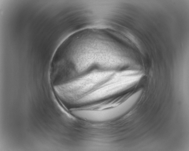 X0000068721484200605121439