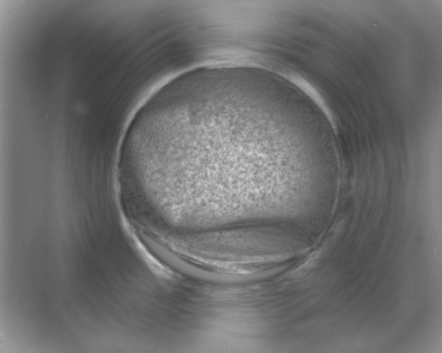 X0000068721485200605121439