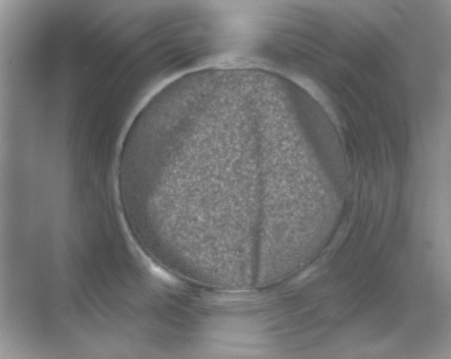 X0000068721486200605121439