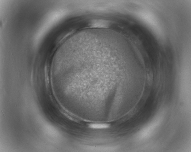 X0000068721487200605121439