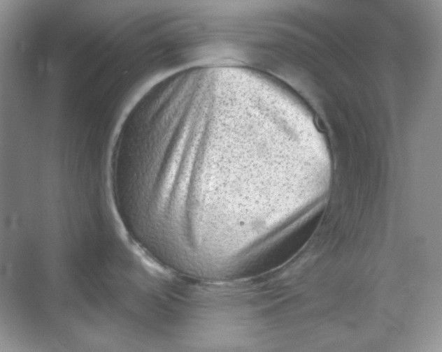 X0000068721488200605121439