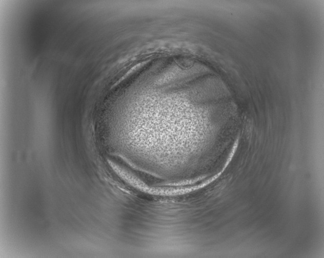 X0000068721489200605121438