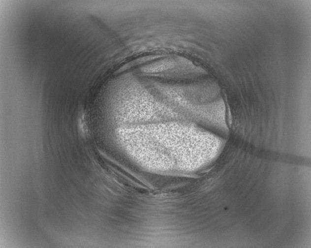 X0000068721490200605121438