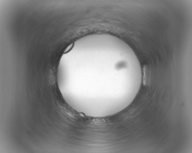 X0000068721491200605121438