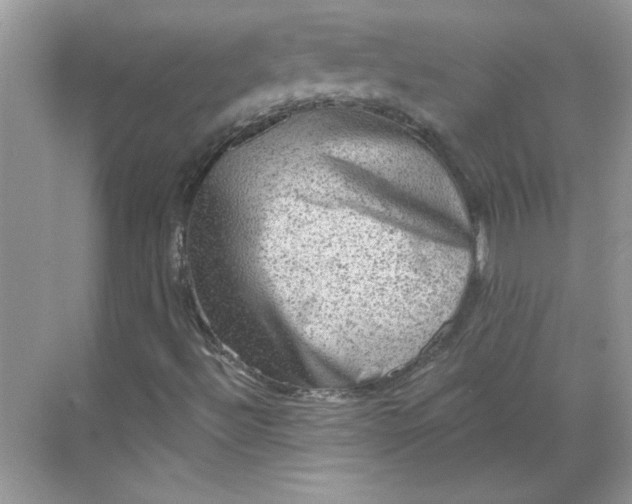 X0000068721492200605121438