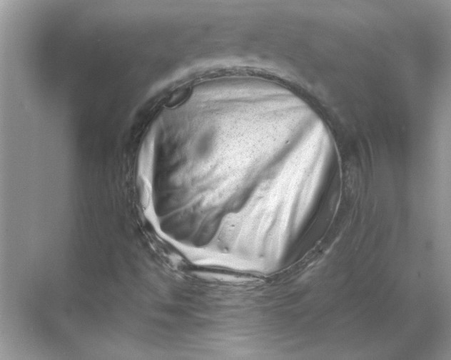 X0000068721494200605121438