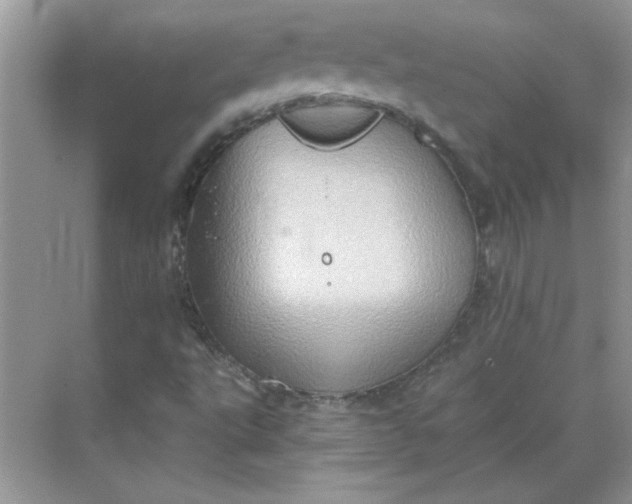 X0000068721495200605121438