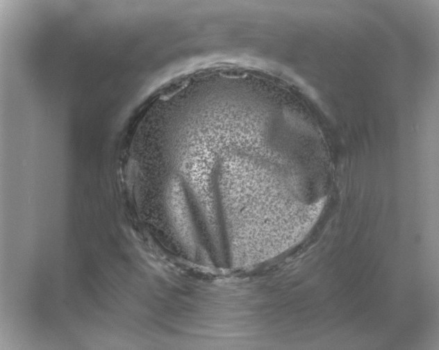 X0000068721496200605121438