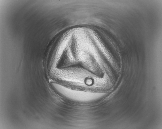 X0000068721497200605121438