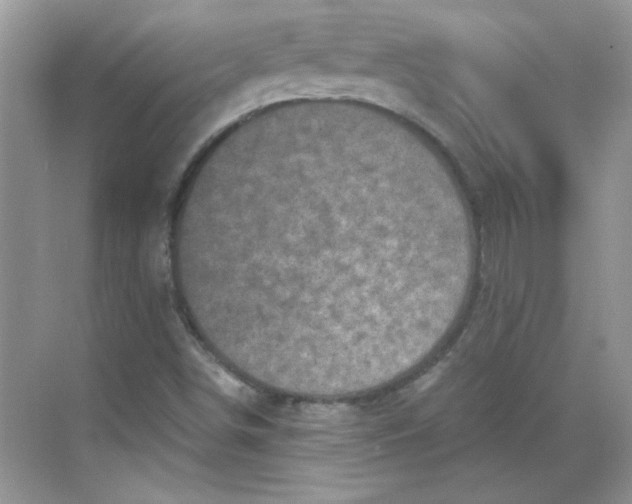 X0000068721498200605121438