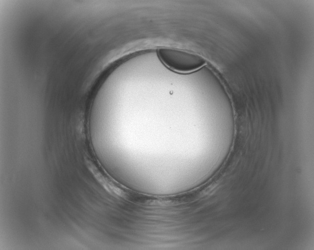 X0000068721499200605121438