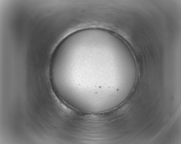 X0000068721500200605121438