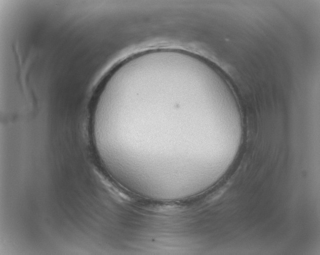 X0000068721502200605121438