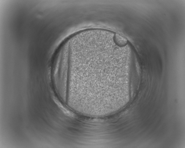 X0000068721503200605121438