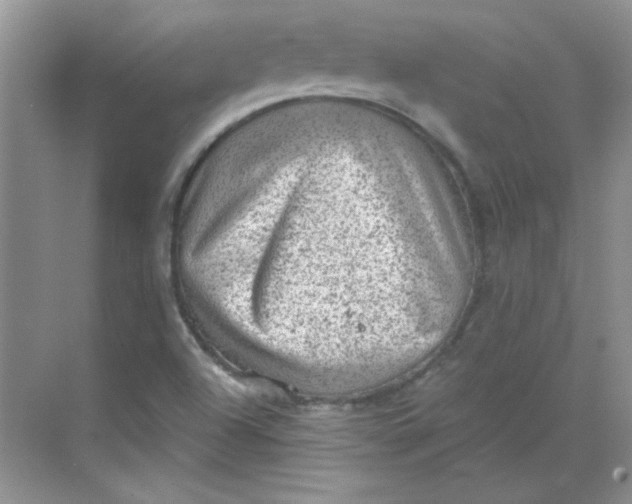 X0000068721504200605121438