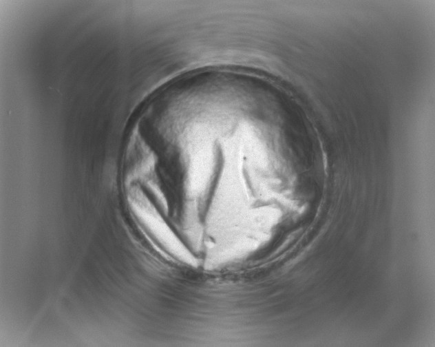 X0000068721505200605121438