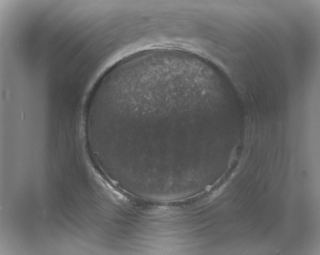 X0000068721506200605121438