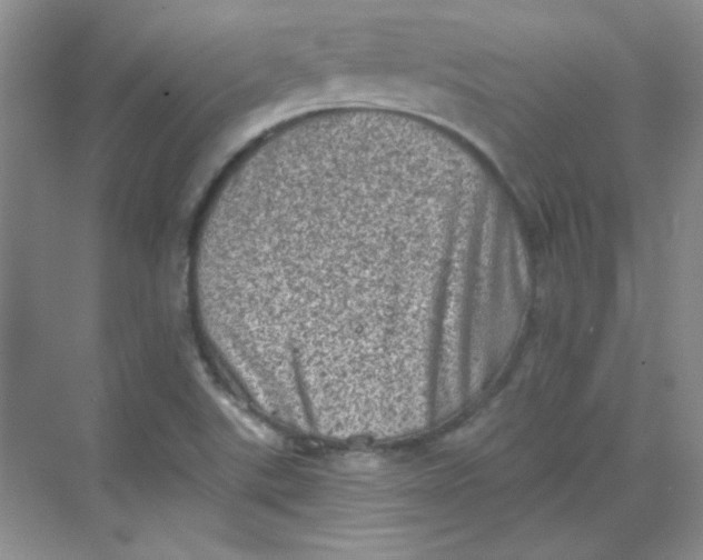 X0000068721507200605121438