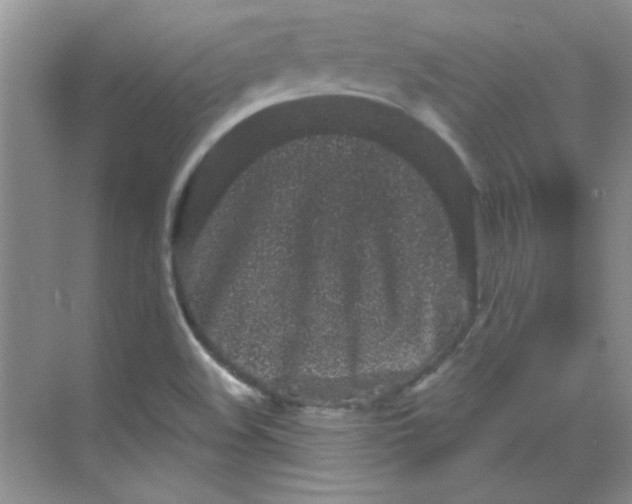 X0000068721508200605121438