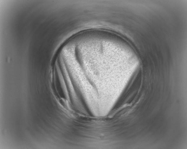 X0000068721509200605121439