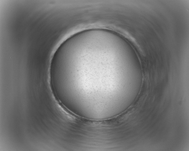 X0000068721512200605121439