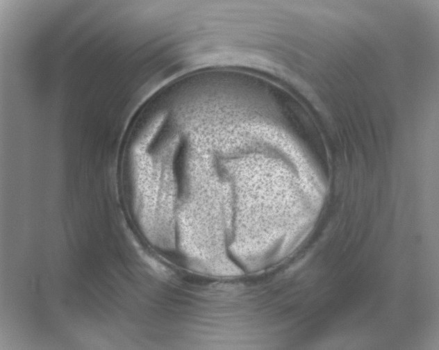 X0000068721513200605121439