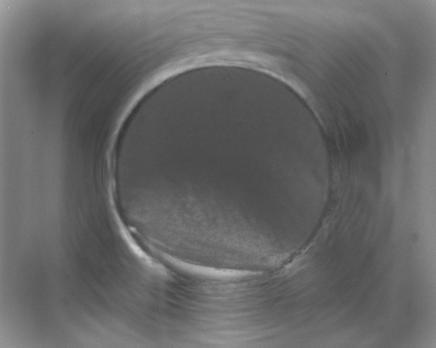 X0000068721515200605121439