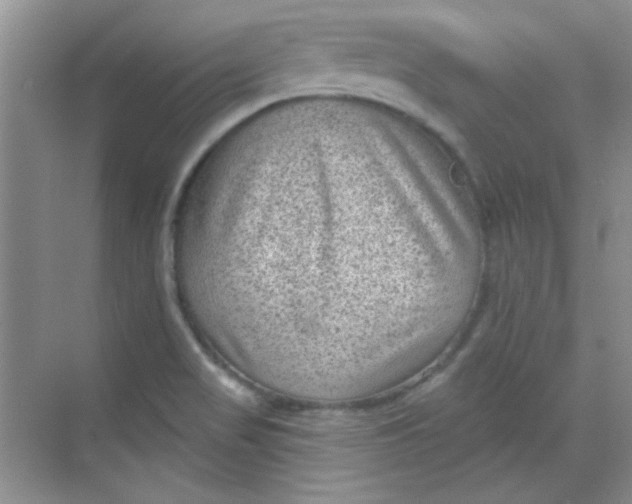 X0000068721517200605121439