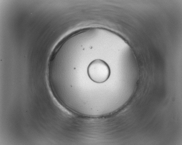 X0000068721518200605121439